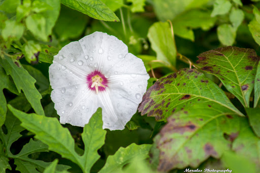 Park «Sanlando Park», reviews and photos, 401 W Highland St, Altamonte Springs, FL 32714, USA