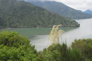 Mahau Sound Lookout