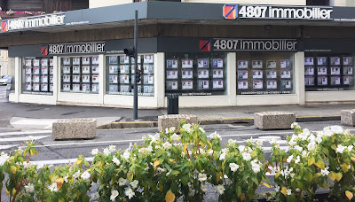 4807 Immobilier Annemasse Gestion / Location 04.50.87.48.07, Achat / vente 04.50.95.08.07 à Annemasse