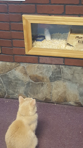 Pet Store «Animal City Pet Center», reviews and photos, 919 NW Broad St, Murfreesboro, TN 37129, USA
