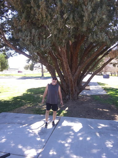 Park «Lewis Kingman Park», reviews and photos, 2201 E Andy Devine Ave, Kingman, AZ 86401, USA