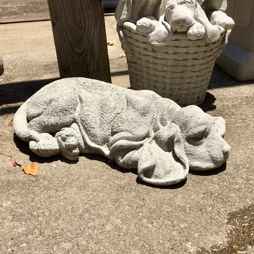 Pet Supply Store «The Stock Market Country Store», reviews and photos, 4479 Dover Pl SE, Conyers, GA 30013, USA