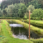 Photo n°1 de l'avis de Cristian.h fait le 19/07/2020 à 18:49 sur le  Forellenstüble - Siegfried Böcherer à Freiamt