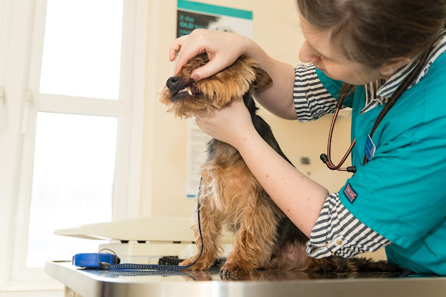 Ashcroft Veterinary Surgery - Veterinarian