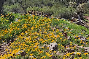 Peralta Regional Park image