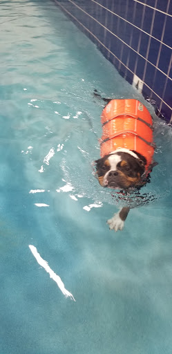 Pet Supply Store «Pet Depot Inc», reviews and photos, 2151 Greenspring Dr, Lutherville-Timonium, MD 21093, USA