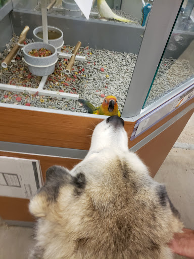 Pet Supply Store «Petco Animal Supplies», reviews and photos, 5961 Warner Ave, Huntington Beach, CA 92649, USA
