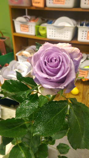 Florist «The Flowerman», reviews and photos, 70A Westpark Rd, Dayton, OH 45459, USA