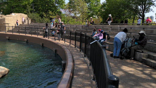 Zoo «Kovler Sea Lion Pool», reviews and photos, 2001 N Clark St, Chicago, IL 60614, USA