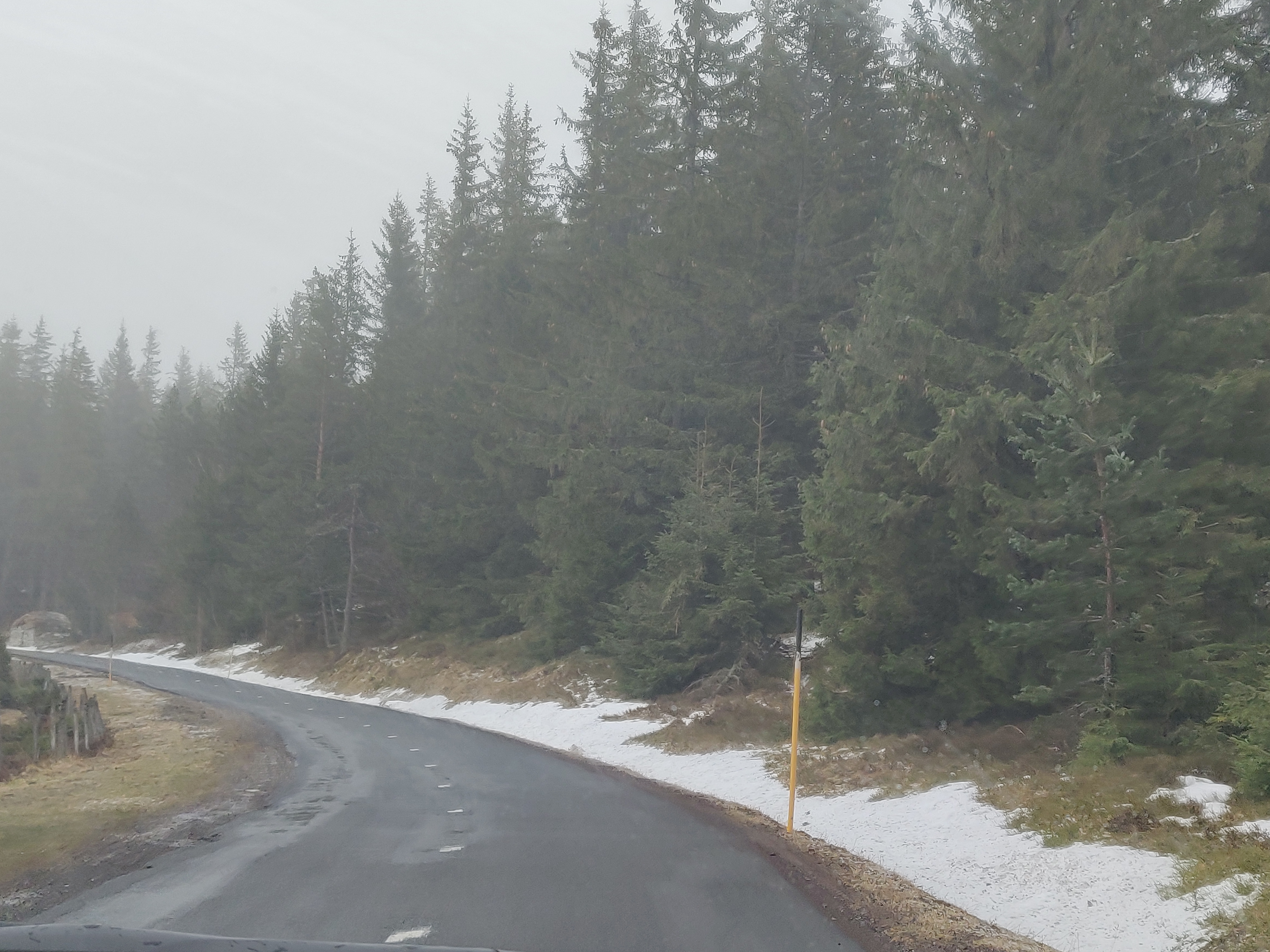 Photo n° 7 de l'avis de Silvia.n fait le 18/04/2019 à 07:45