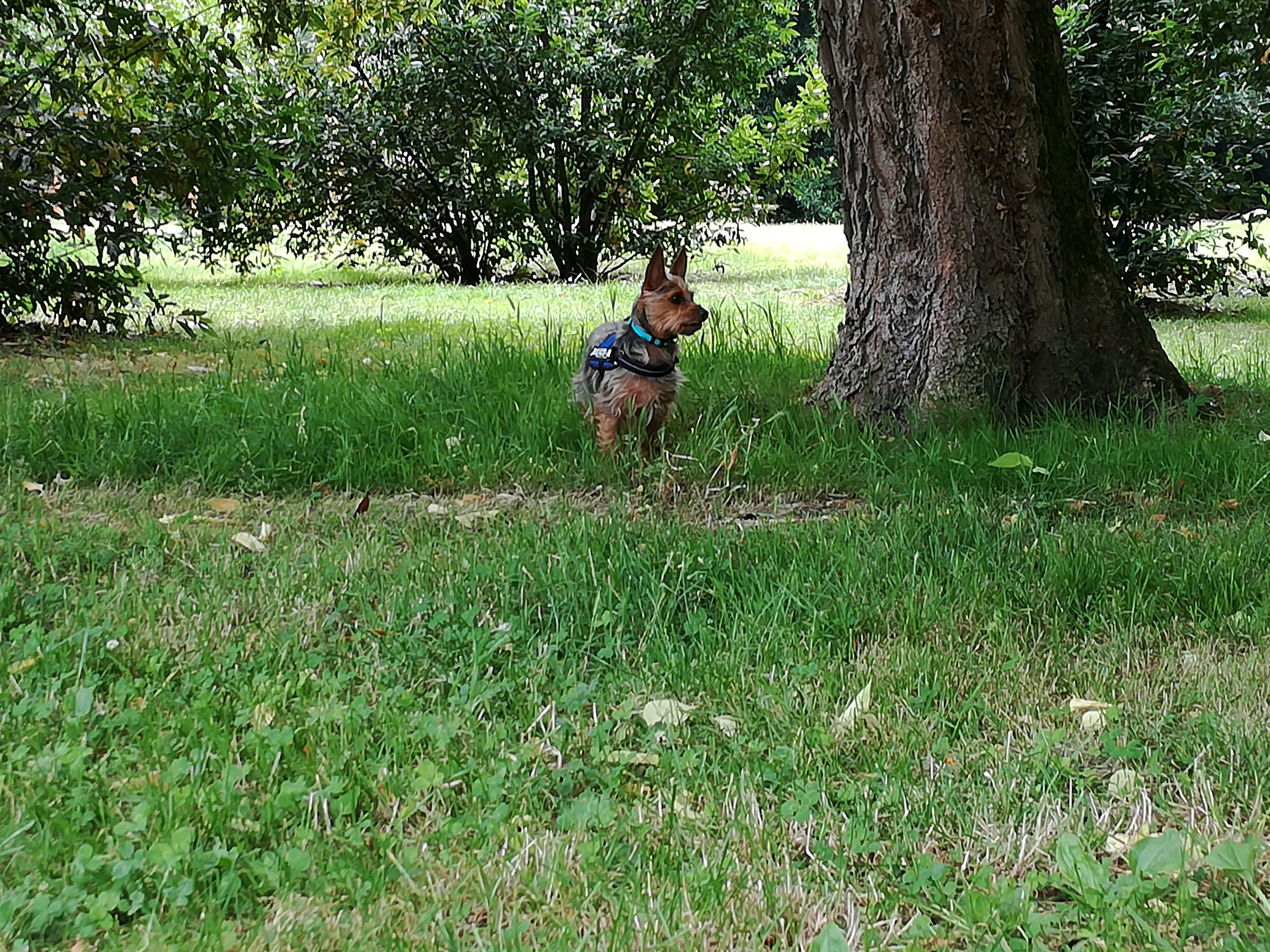 Photo n° 3 de l'avis de Estelle.o fait le 04/09/2016 à 09:11