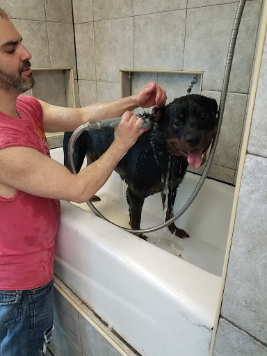 Pet Supply Store «Pet Port», reviews and photos, 145 Middle Rd, Sayville, NY 11782, USA