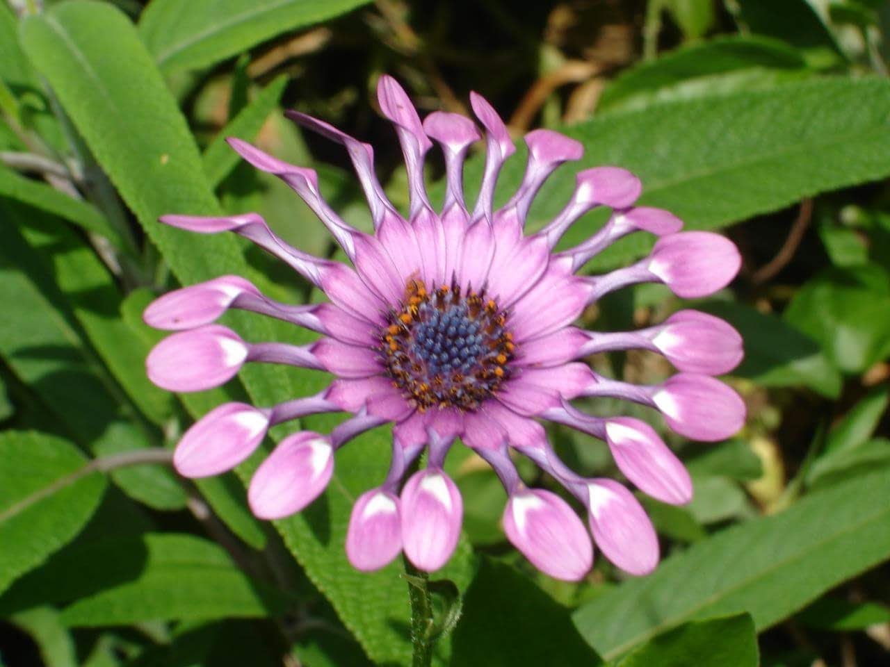 Photo n° 8 de l'avis de Mag.e fait le 10/10/2020 à 18:24