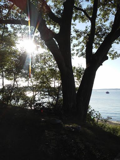 Wedding Venue «Portland Ocean Gateway», reviews and photos, 14 Maine State Pier, Portland, ME 04101, USA