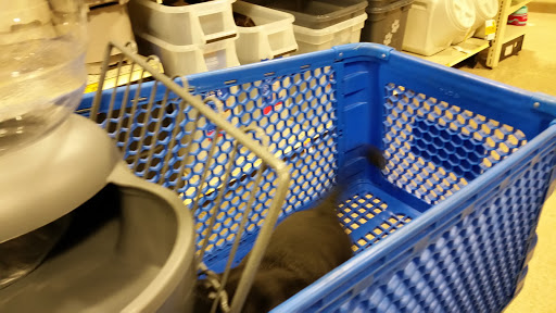 Pet Supply Store «PetSmart», reviews and photos, 1417 W Interstate 240 Service Rd, Oklahoma City, OK 73159, USA