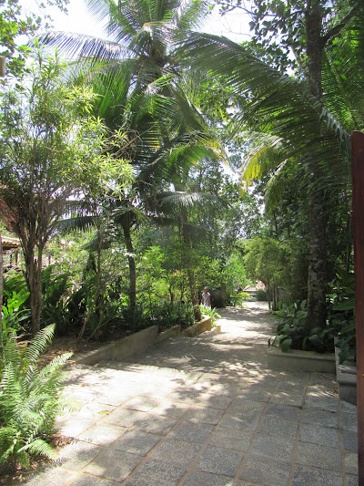 Photos of Sri Yoga Shala
