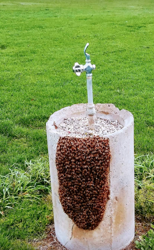 Golf Club «Paso Robles Golf Club», reviews and photos, 1600 Country Club Dr, Paso Robles, CA 93446, USA