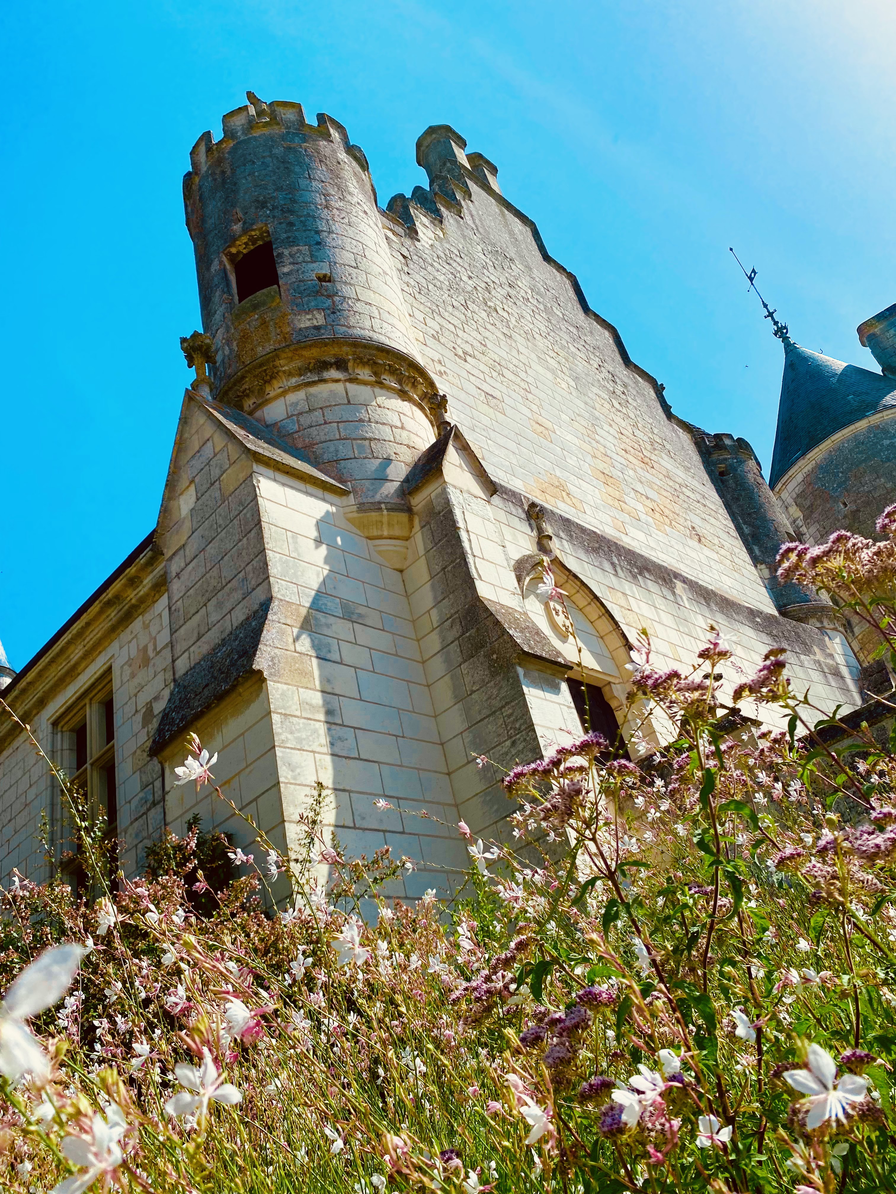 Photo n° 3 de l'avis de Marina.s fait le 26/07/2022 à 08:04