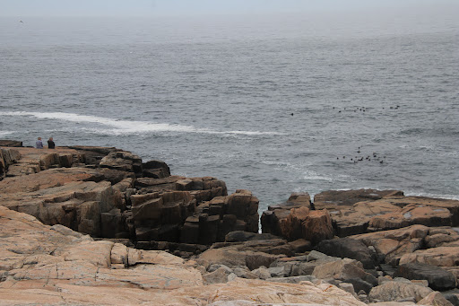 Vista Point «Schoodic Point», reviews and photos, Arey Cove Rd, Winter Harbor, ME 04693, USA