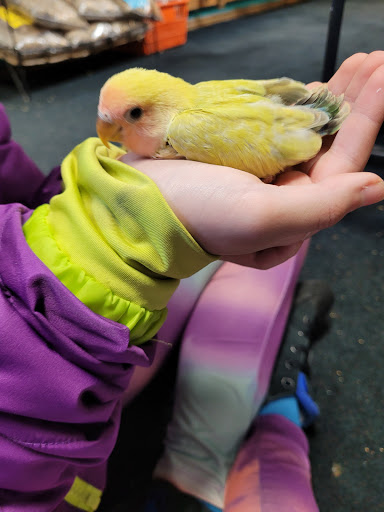 Pet Store «Birds & Beasts Pet Shop», reviews and photos, 35 Berkshire Dr # 18, Crystal Lake, IL 60014, USA