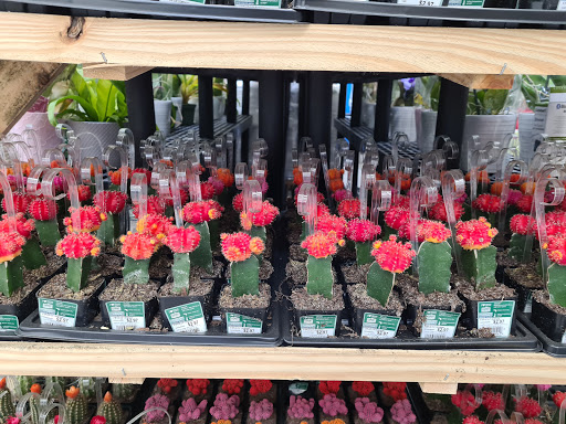 Department Store «Walmart Supercenter», reviews and photos, 5200 Windward Pkwy, Milton, GA 30004, USA