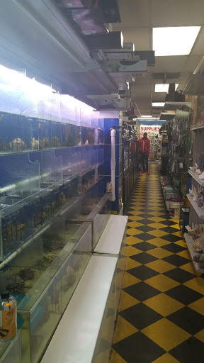 Pet Store «Brooklyn Zoo & Aquarium Pet Store», reviews and photos, 2377 Ralph Ave, Brooklyn, NY 11234, USA