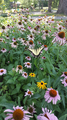 Thrift Store «Thrift Shop of Montgomery General Hospital», reviews and photos, 2801 Olney Sandy Spring Rd, Olney, MD 20832, USA