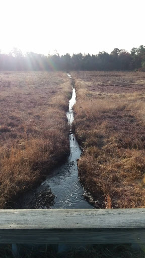 Community Park «Cloverdale Farm County Park», reviews and photos, 34 Cloverdale Rd, Barnegat, NJ 08005, USA