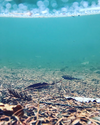 Place of Worship «The Grotto», reviews and photos, 8840 NE Skidmore St, Portland, OR 97220, USA