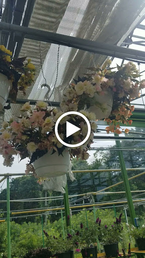 Florist «Dutch & Olgas Greenhouse», reviews and photos, 1285 NJ-36, Hazlet, NJ 07730, USA