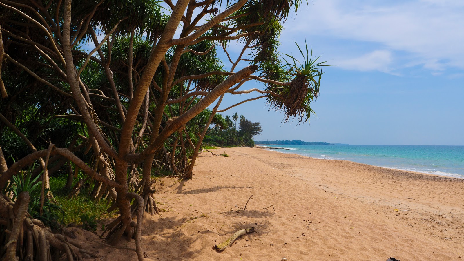 Zdjęcie Kosgoda Beach z proste i długie