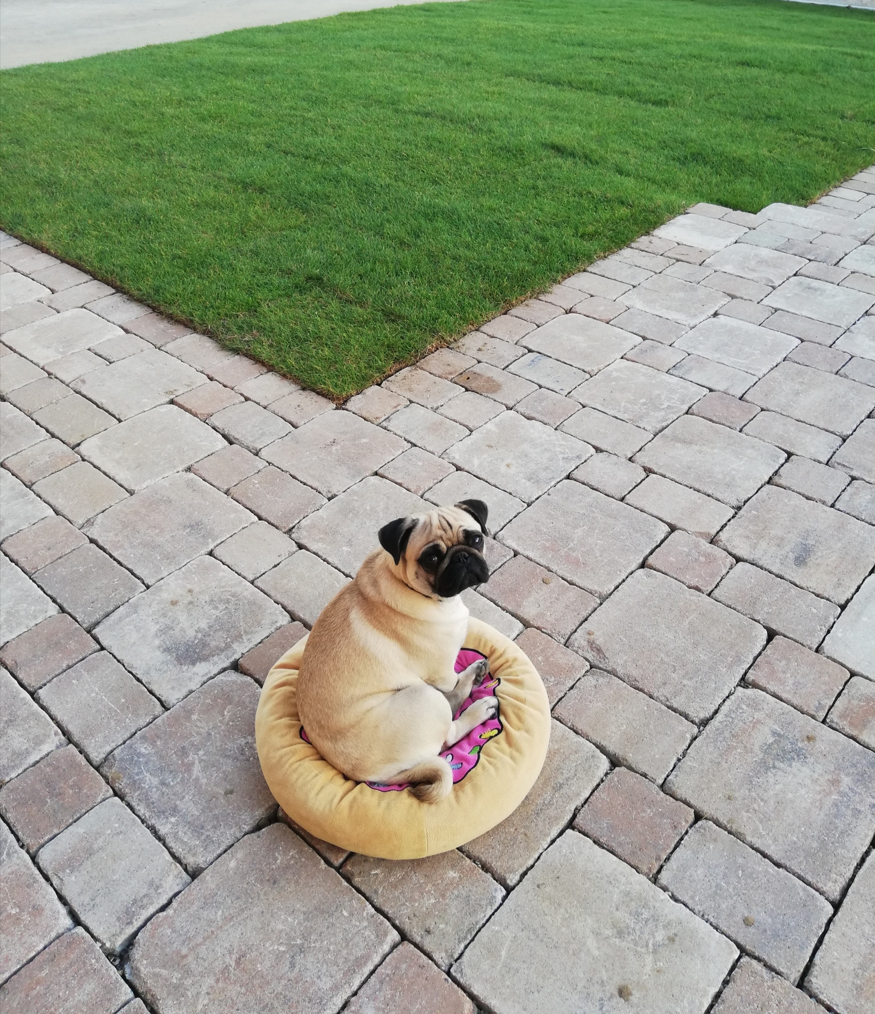 Photo n° 11 de l'avis de Marina.e fait le 23/11/2022 à 18:59