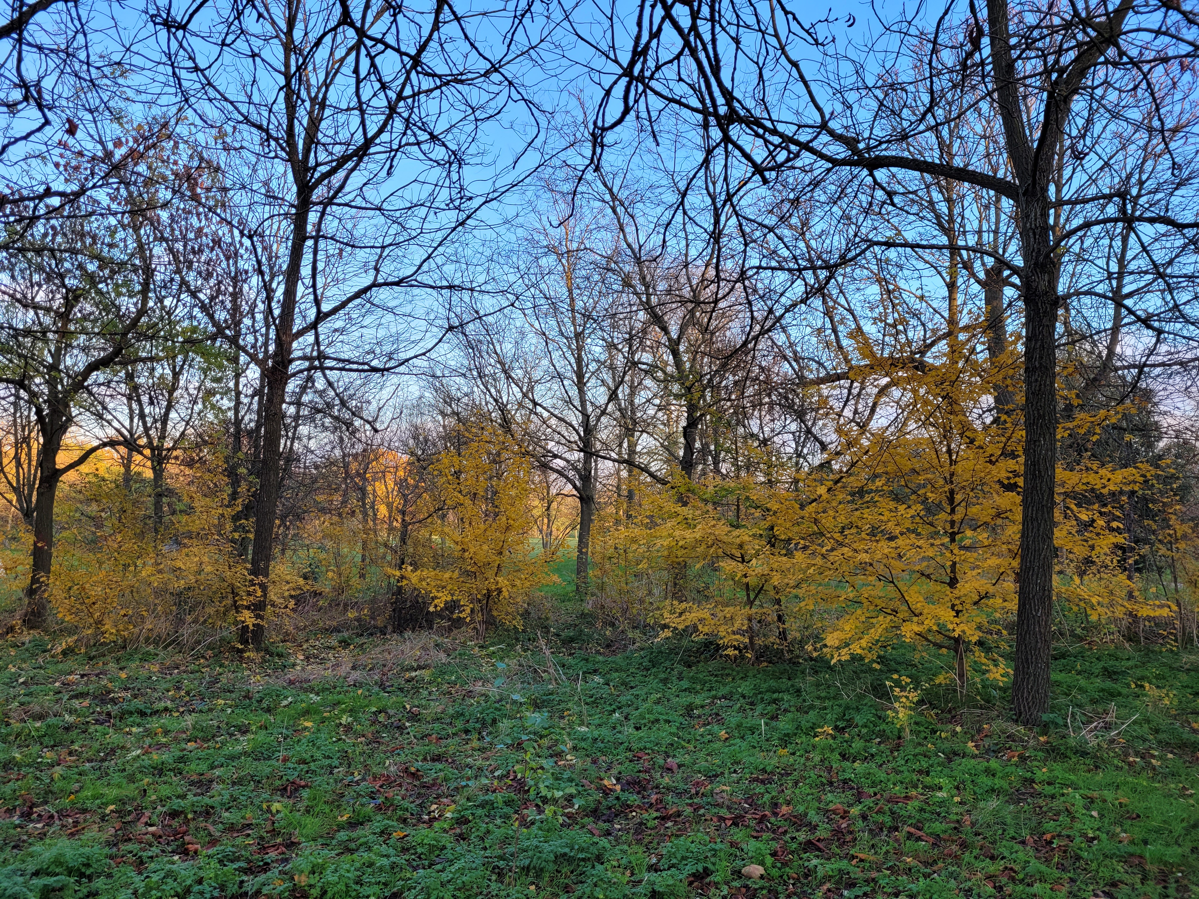 Photo n° 22 de l'avis de ernest.o fait le 17/08/2018 à 17:20