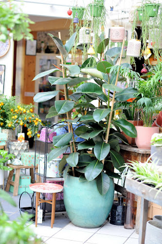 Ogród Łobzów | Sklep ogrodniczy - Skawina