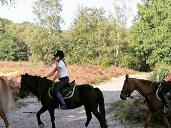 Ruitersportschool Manege Molenzicht