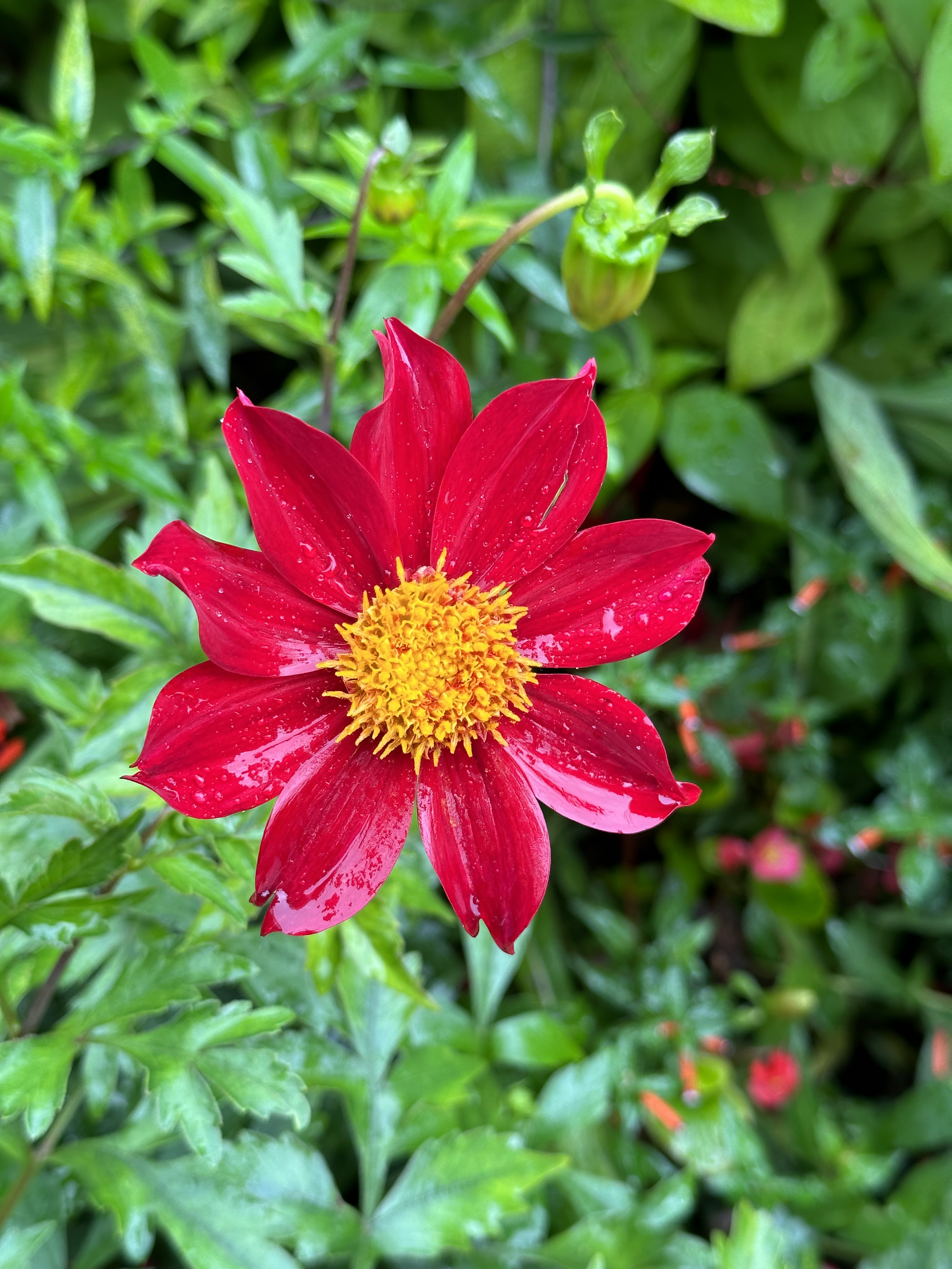 Photo n° 4 de l'avis de P.d fait le 28/08/2023 à 06:51