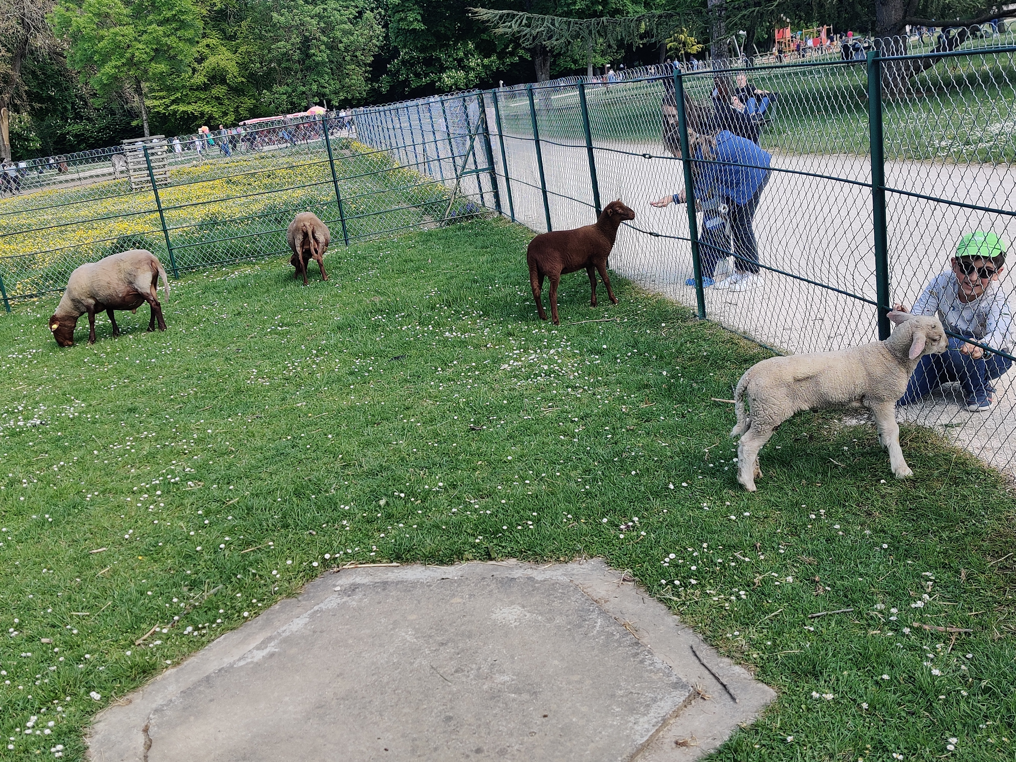 Photo n° 19 de l'avis de Carole.r fait le 01/05/2022 à 15:15