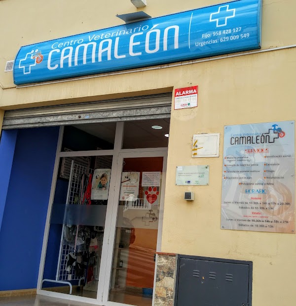 Centro Veterinario Alfacamaleón