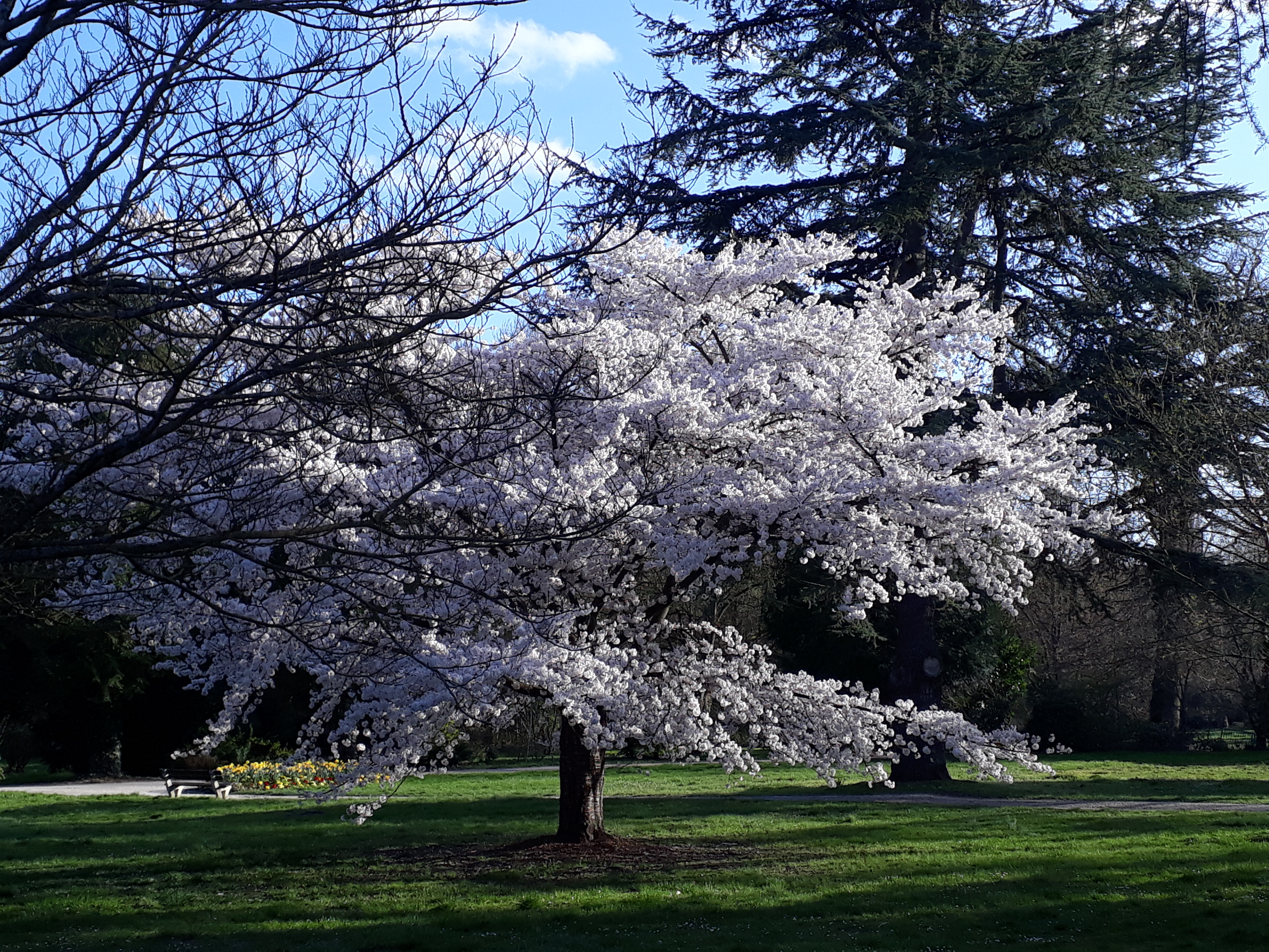 Photo n° 2 de l'avis de Laëtitia.n fait le 10/04/2019 à 18:30