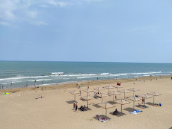 Photo de Primorskiy Park I Beach avec un niveau de propreté de très propre