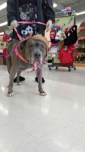 Pet Supply Store «Petco Animal Supplies», reviews and photos, 2621 MacArthur Rd, Whitehall, PA 18052, USA