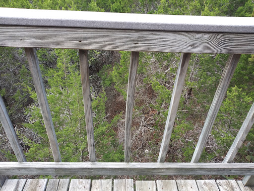 Cabin Rental Agency «Paluxy River Bed Cabins», reviews and photos, 1319 FM 205, Glen Rose, TX 76043, USA