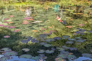 Monet No Pond image