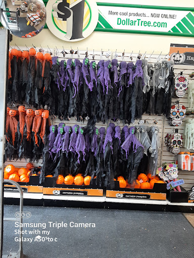 Dollar Store «Dollar Tree», reviews and photos, 39 N Lansdowne Ave #45, Lansdowne, PA 19050, USA