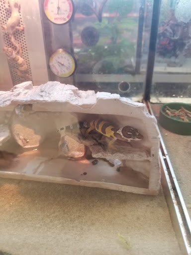 Pet Supply Store «Petco Animal Supplies», reviews and photos, 3380 124th Ave NW, Coon Rapids, MN 55433, USA