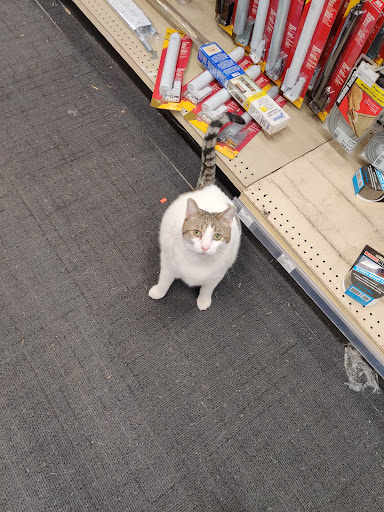 Hardware Store «Vickery Do it Best Hardware», reviews and photos, 881 Concord Rd SE, Smyrna, GA 30082, USA