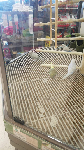 Pet Supply Store «Petco Animal Supplies», reviews and photos, 4632 Broadway, Allentown, PA 18104, USA