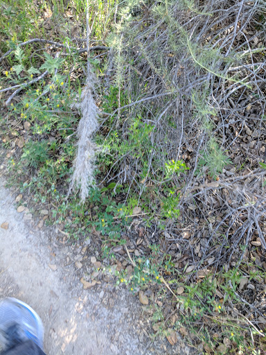 Cable Company «Time Warner», reviews and photos, 10450 Pacific Center Ct, San Diego, CA 92121, USA