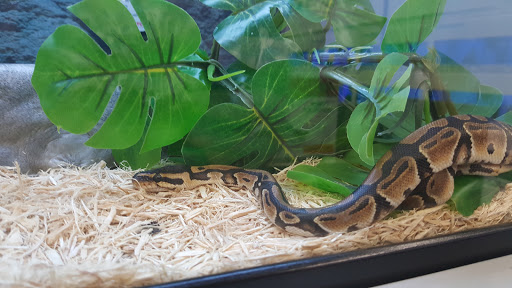 Pet Supply Store «Petco Animal Supplies», reviews and photos, 859 Kings Creek Dr, Tupelo, MS 38804, USA