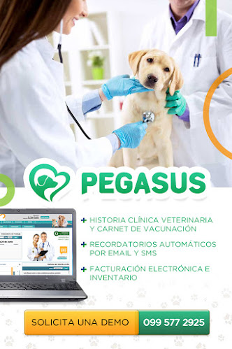 Opiniones de ORPHEUS - Software para el Sector Salud en Guayaquil - Médico